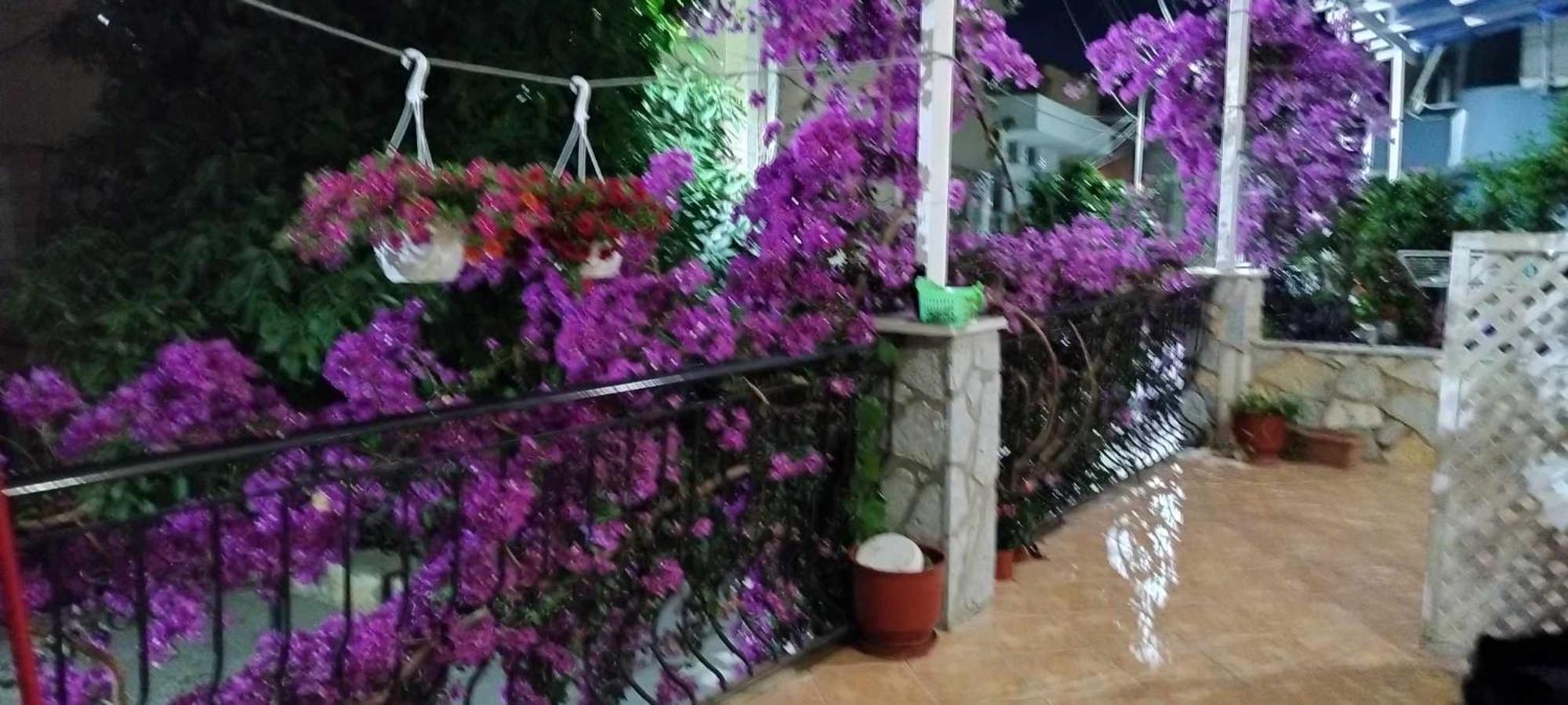 Elena Apartament Sarandë Eksteriør bilde
